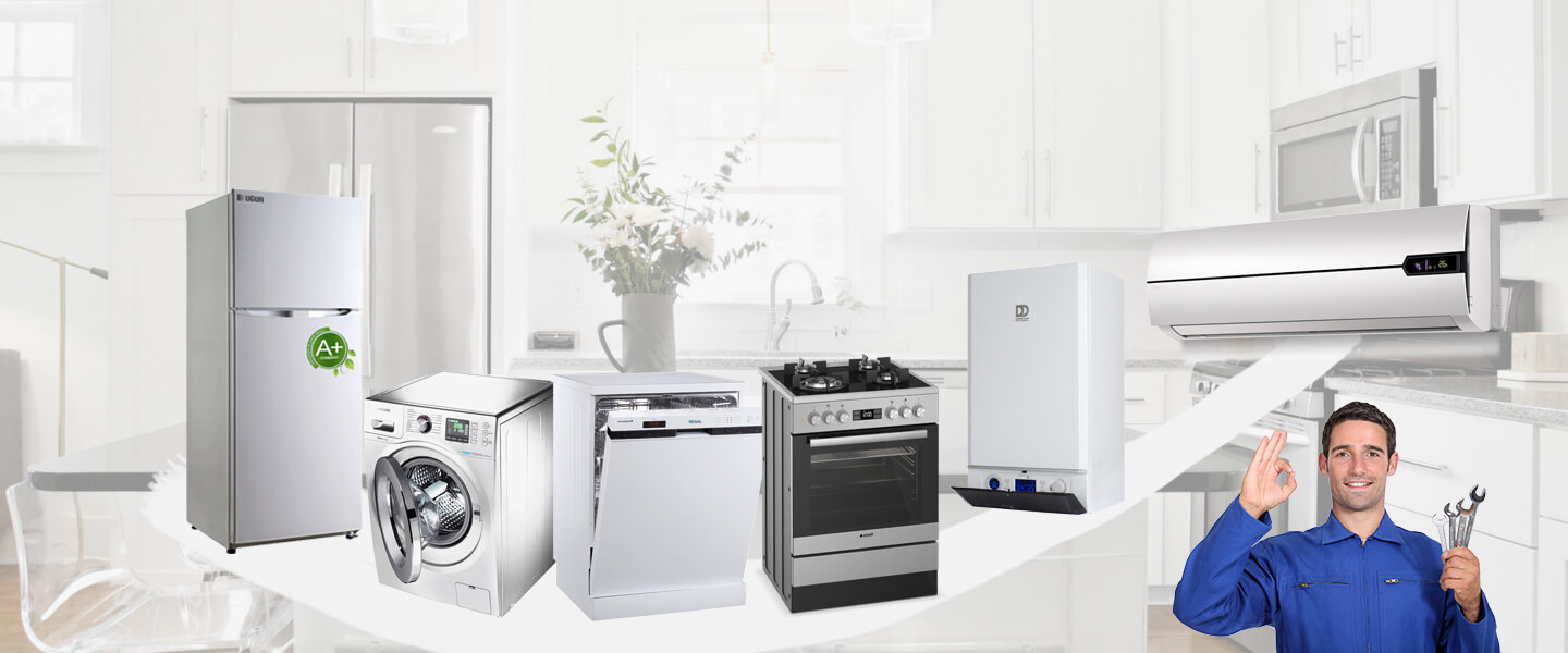 Alaplı Smeg Servisi